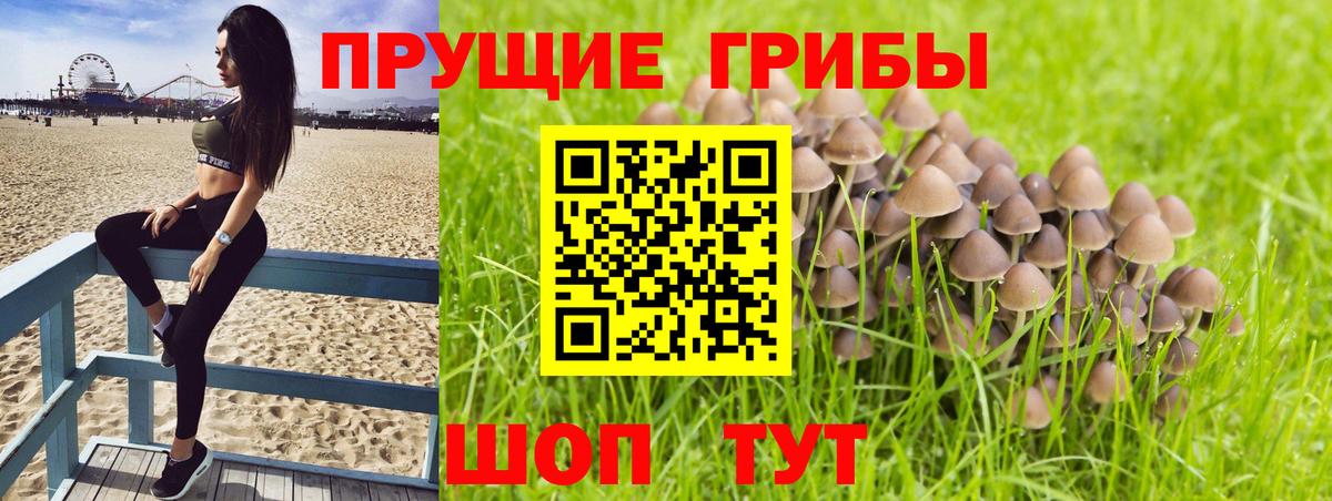 Галлюциногенные грибы мицелий Королёв