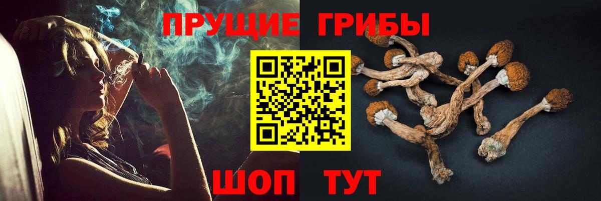 Псилоцибиновые грибы мицелий  хочу наркоту  Королёв  Вход с VPN 